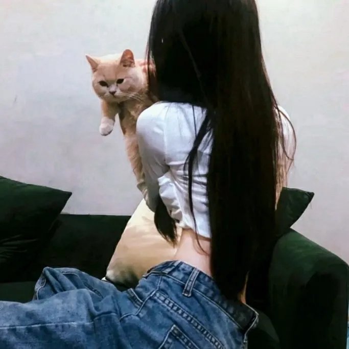 赤裸特工